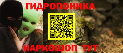 ПСИЛОЦИБИНОВЫЕ ГРИБЫ Кингисепп