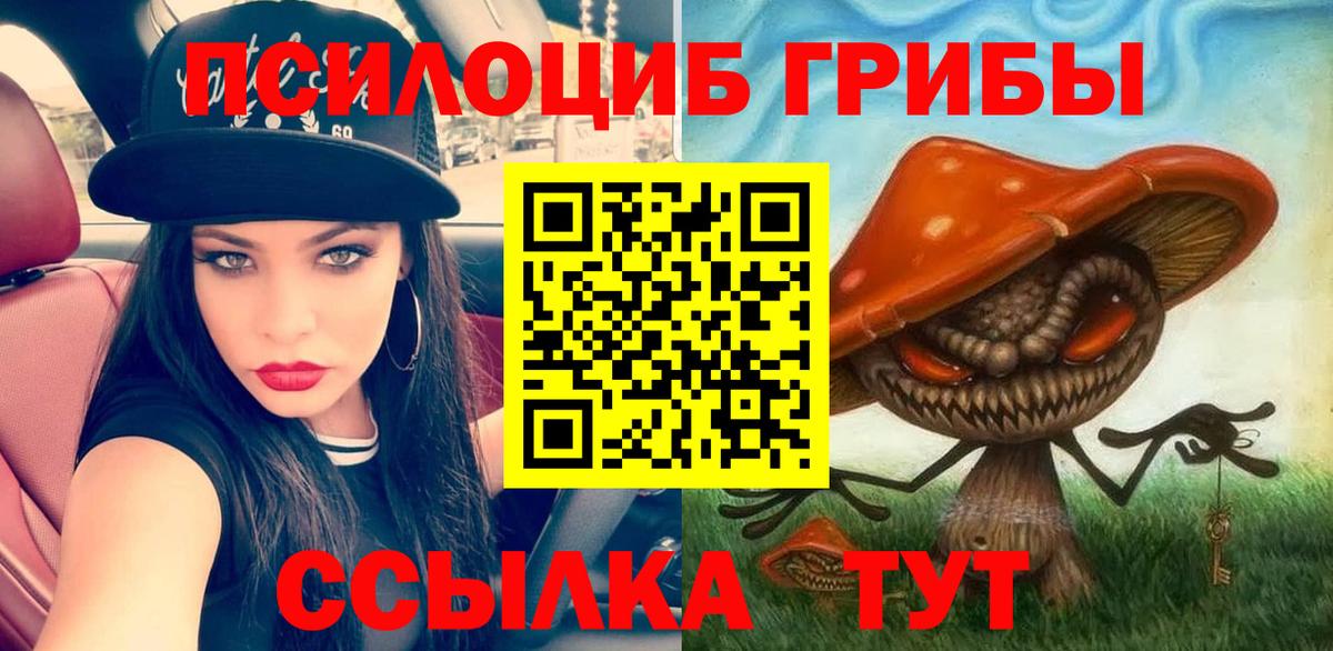 купить   Галлюциногенные грибы ЛСД  Вход с VPN  Кострома  Галлюциногенные грибы мухоморы 